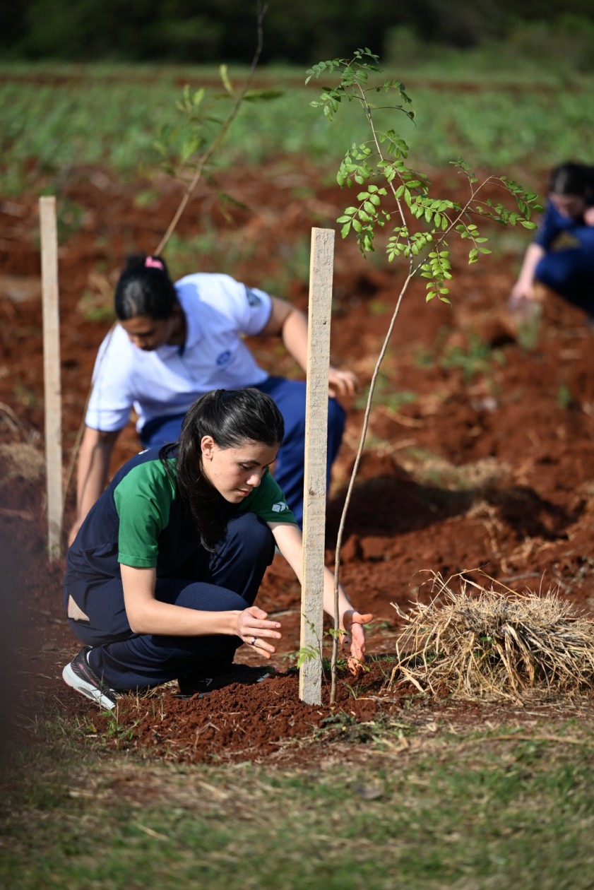 Foram plantadas dezenas de mudas de árvores nativas, incluindo espécies como Cedro, Ipê, Angico e Aroeira, consideradas fundamentais para o fortalecimento da biodiversidade local